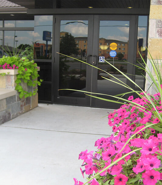 Modern dental office entrance with glass doors, welcoming pathway, and colorful pink flowers.