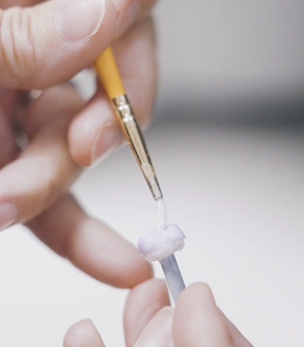 Dentist holding small brush and dental tool demonstrating professional dental care technique.